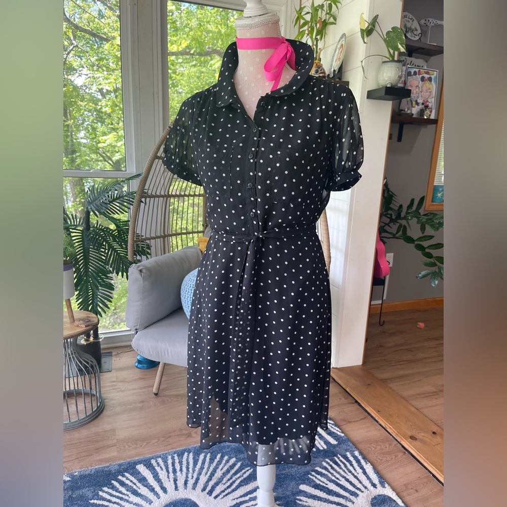 Adorable Black Polka Dot Dress En Focus Studio Size 8